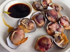 血蛤-碧海银沙海鲜餐厅(恒大海上威尼斯店)