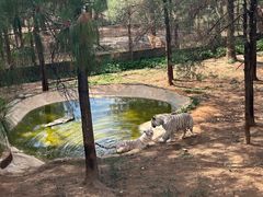 -昆明植物园