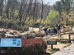 -大连植物园