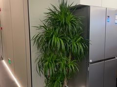 -通透堂中医·精准推拿(旗舰店)