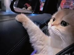 -北京目的地酒吧