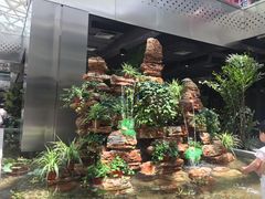 -北国商城