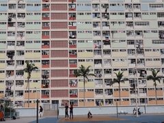 -彩虹村