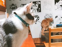 -小时光咖啡馆(开森度假森林店)