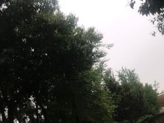 -奥帕拉拉水公园