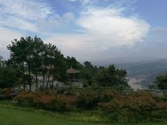 -铁山坪森林公园