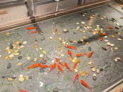 -四季民福烤鸭店(前门店)