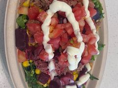 -油梨树 AVOCADO TREE(亮马桥店)