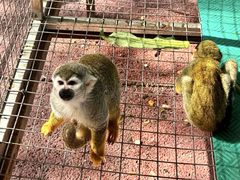 -水上乐园·欢乐世界