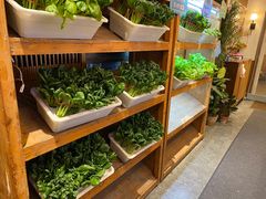 自助取餐区-福苗小骆驼烧烤(大唐不夜城店)