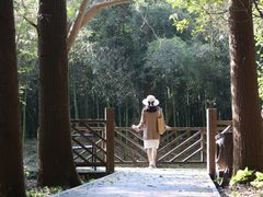 -同里国家湿地公园