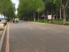 -丁香湖公园