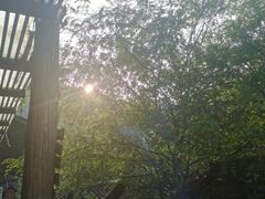 -MOJ coffee(瓯海泽雅水碓坑店)