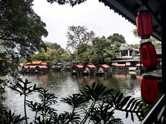 -侨美·唐荔园·40年地道粤菜