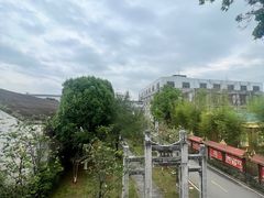 -大益茶庭(勐海会员中心店)