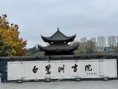 -白鹭洲书院