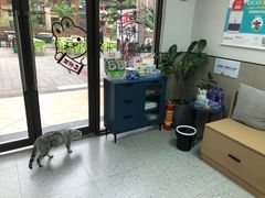 -嘉美宠物医院