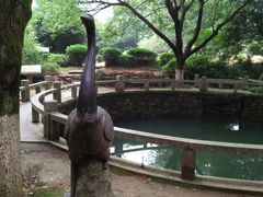-白马涧龙池景区
