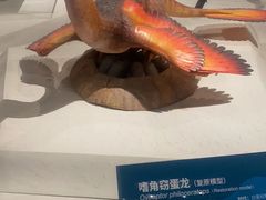 -国家自然博物馆