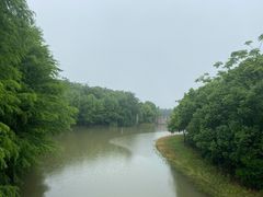 -上海海湾国家森林公园