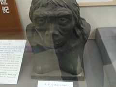-北京中医药大学-中医药博物馆
