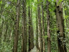 -同里国家湿地公园