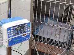 -荔康动物医院(康王北路店)