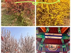 -南翠屏公园