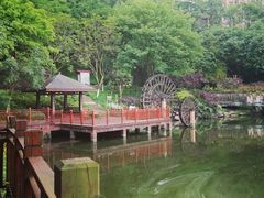 -重庆彩云湖湿地公园