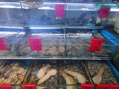 -金海湾海鲜排档(朱家尖店)