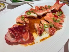 麻椒蒸东星斑-南海渔村(珠江新城店)