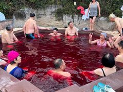 -天目湖涵田半山温泉
