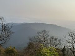 -惠山国家森林公园