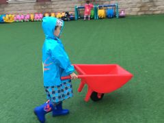 -北京梧桐树双语幼儿园