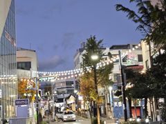 -西归浦每天偶来市场