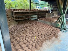 -御霞苑泥烩鸡休闲农庄