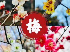 -杭州植物园