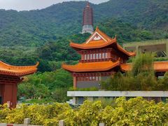 -深圳仙湖植物园