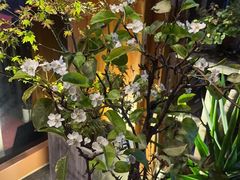 -泰尊道·纯正泰式按摩spa(包河万达店)