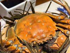 -甬上名灶(天一阁·翠柏店)