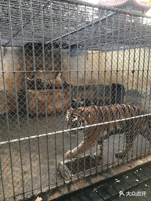 渭濱公園動物園-圖片-咸陽周邊遊-大眾點評網