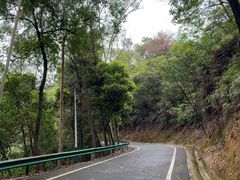 -佛山市三水区大南山森林公园