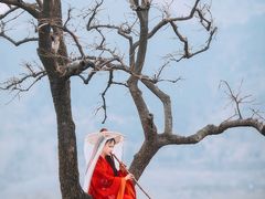 -秦岭风景区
