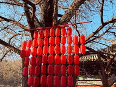 -红螺寺