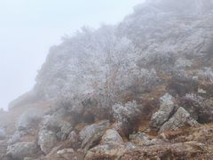 -灵山