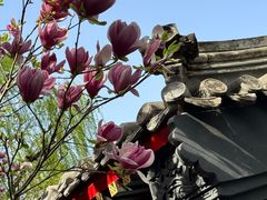 -北京市劳动人民文化宫(太庙)