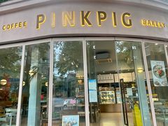 -WHEN PIGS FLY当猪飞