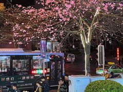 -攀枝花公园