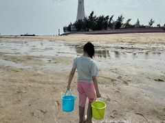 -北海金海湾红树林生态旅游区