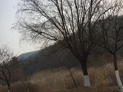 -南山风景名胜区